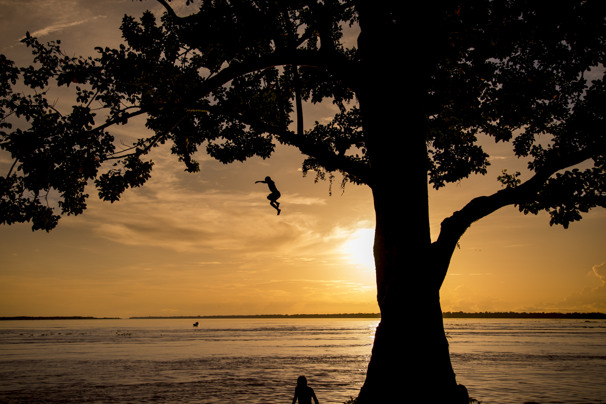 Salto al amazonas, 2019