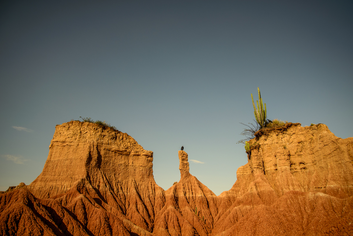 Majestad del Desierto de la Tatacoa, 2021