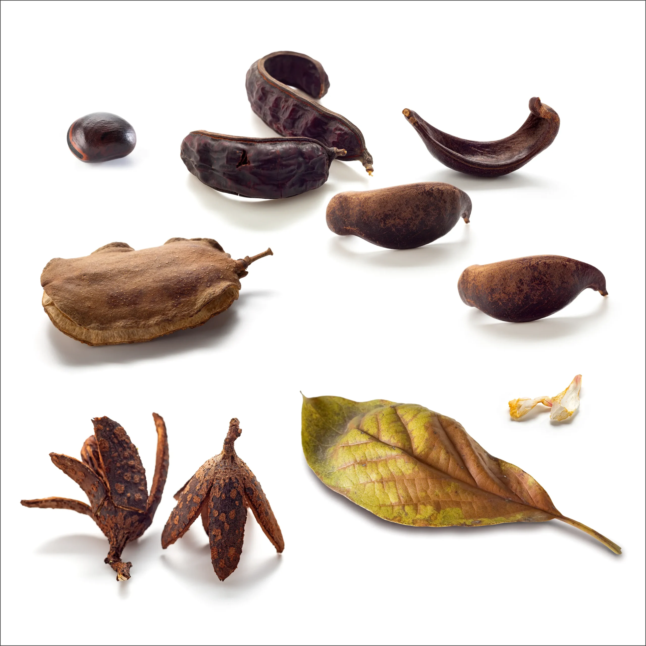 “STILL LIFE Nº 1." - Estudio3