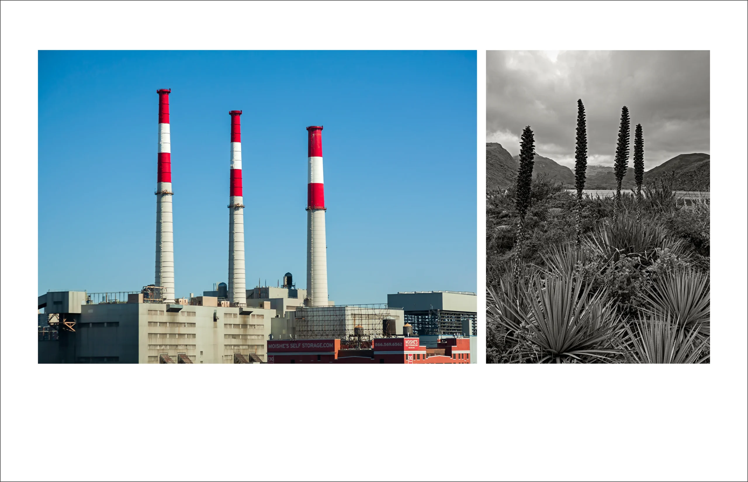“FACTORIES” - NYC; Páramo de Chingaza