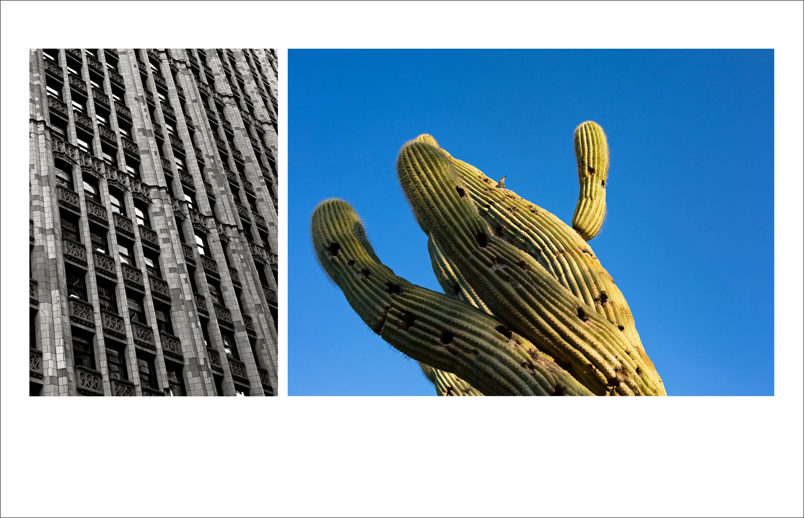 PRIVATE CONDOMINIUM” - Downtown Manhattan; Mojave Desert, AZ