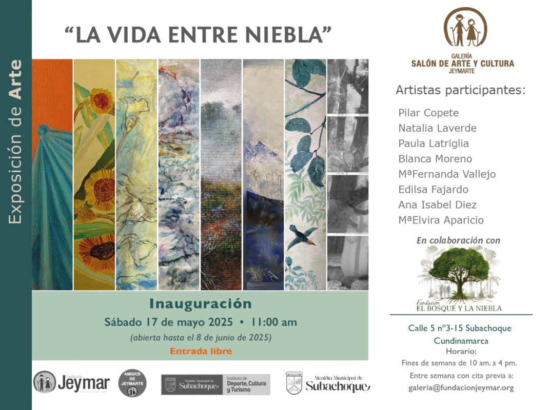 La Vida Entre La Niebla