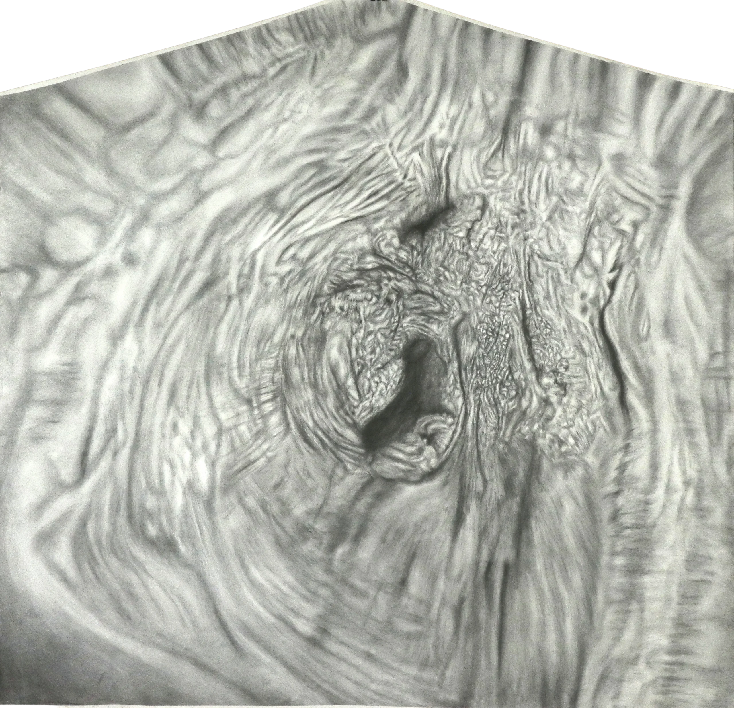 Espectro arbóreo (detalle de corteza, composición piramidal)